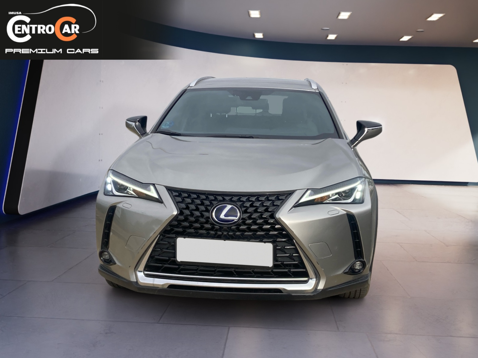 No hay imagen establecida